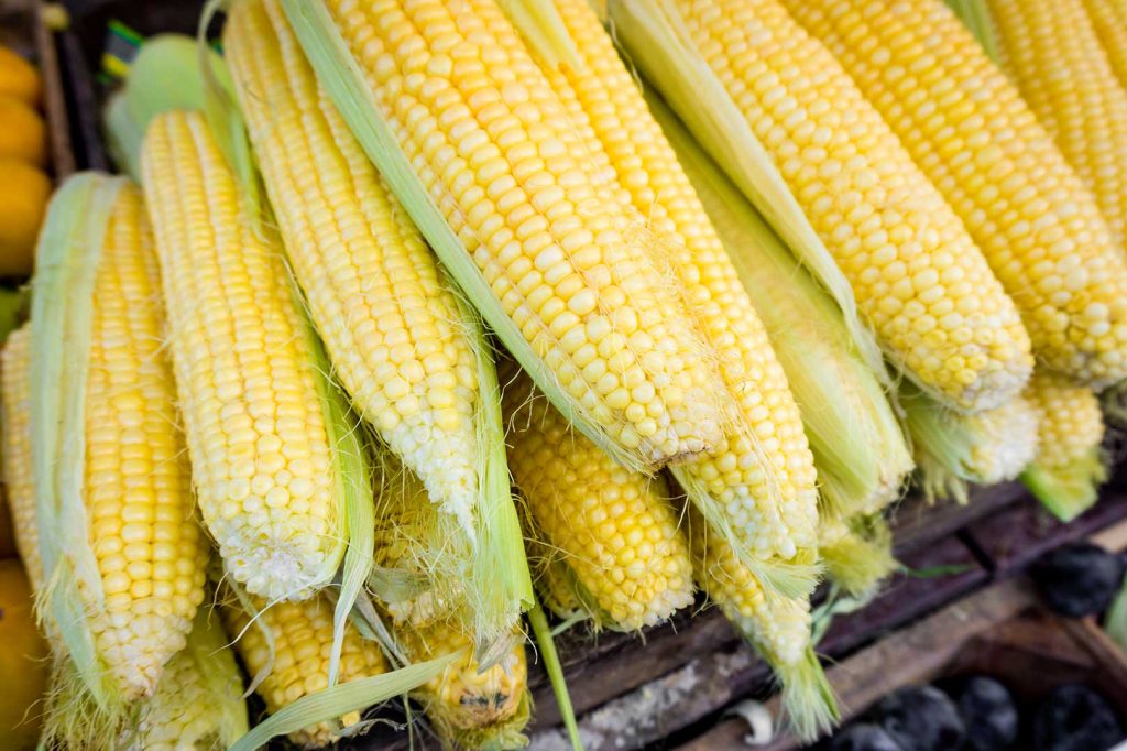 fresh-corn-corn-for-sale-at-farmers-market-2021-08-26-16-36-16-utc